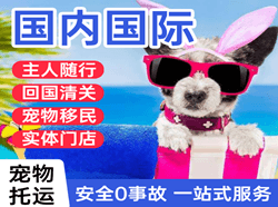 大庆空运国际宠物托运 【国